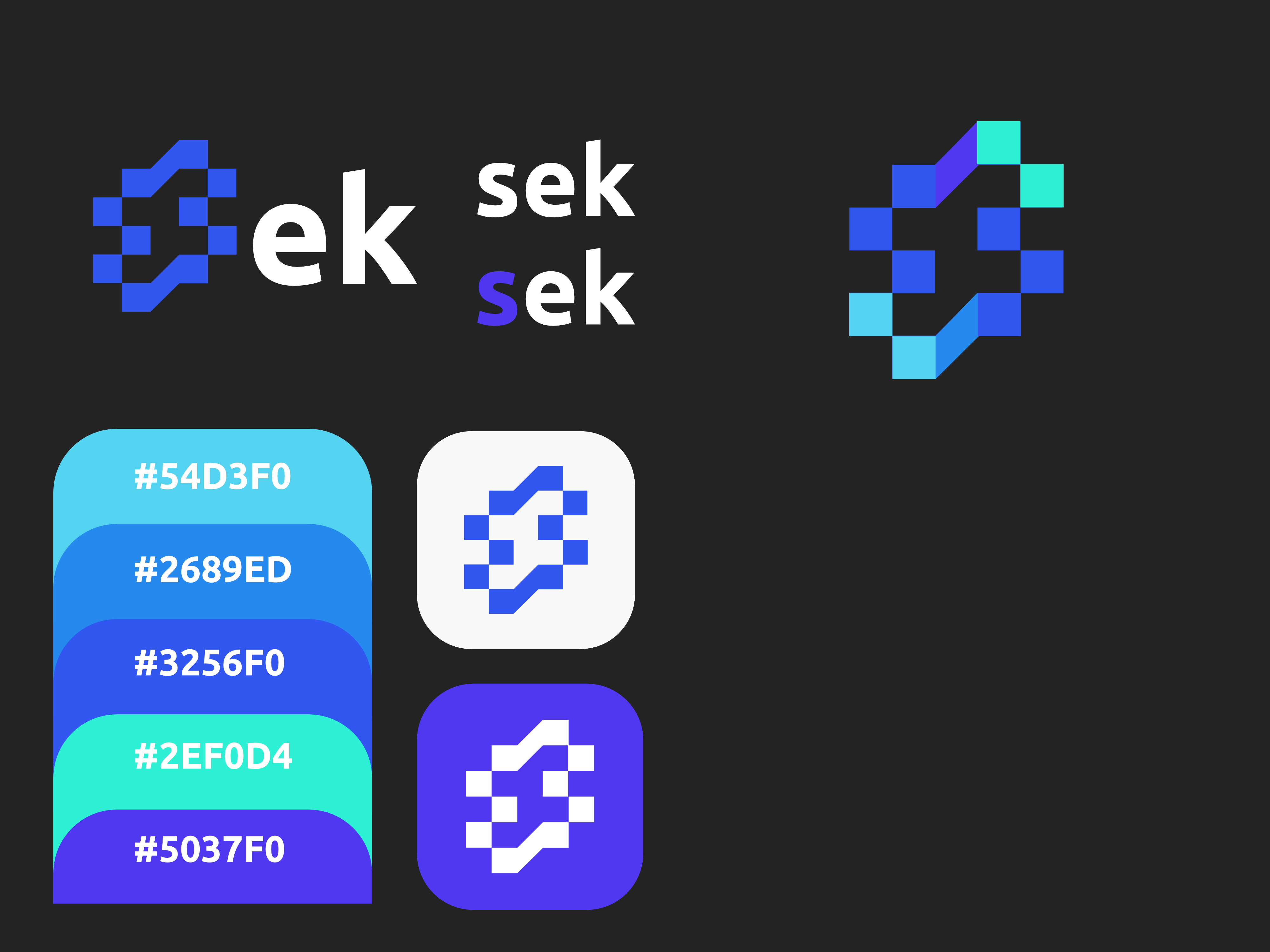 seks brand charter: logo, palette and typography