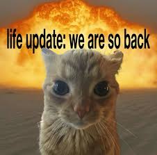 Were so back